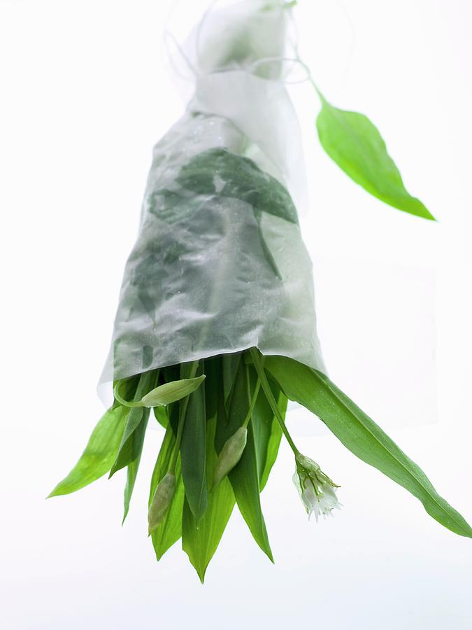 A Bouquet Of Wild Garlic Wrapped In Paper Photograph by Brbel Bchner