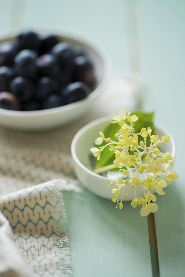 A Bowl Of Blueberries And A Dish Of Hydrangea Buds Photograph by Lixie Pott