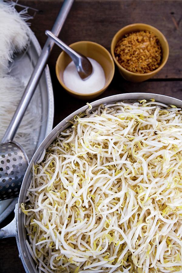 A Bowl Of Soya Bean Sprouts At A Cookshop Stand thailand, Asia Photograph by Michael Wissing