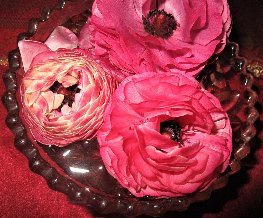 A bowl of sweetness by Rosita Larsson A bowl of sweetness by Rosita Larsson