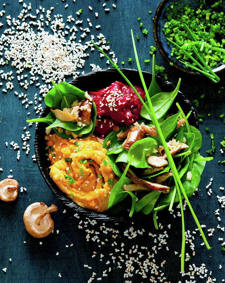 A Bowl With Spinach, Shiitake Mushrooms, Beetroot Cream, Lentil Dhal And Amaranth Pops Photograph by Udo Einenkel
