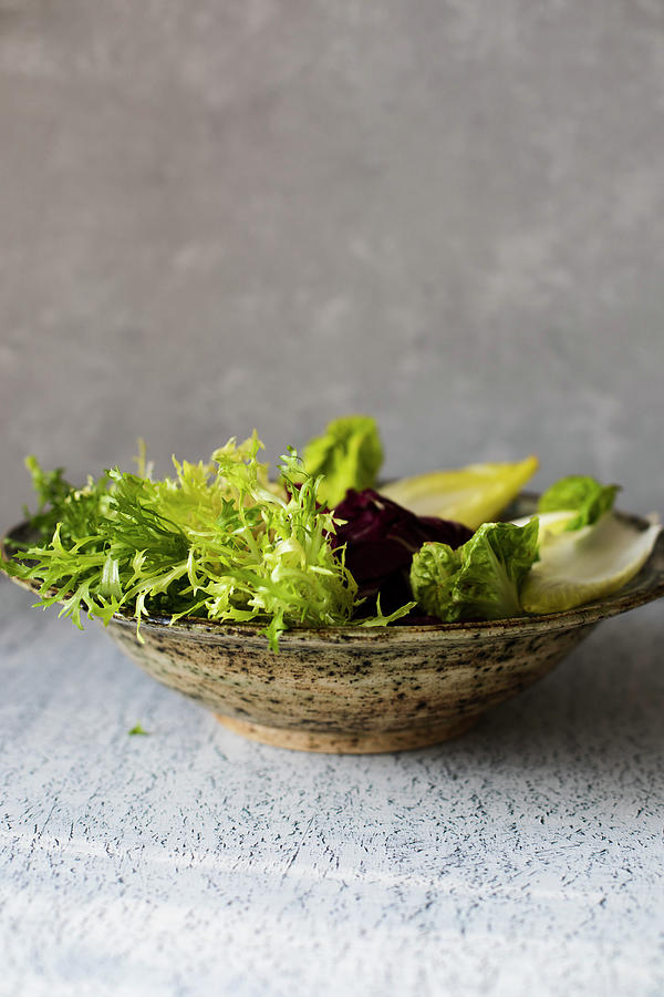 A Bowl With Winter Lettuces Photograph by Lilia Jankowska
