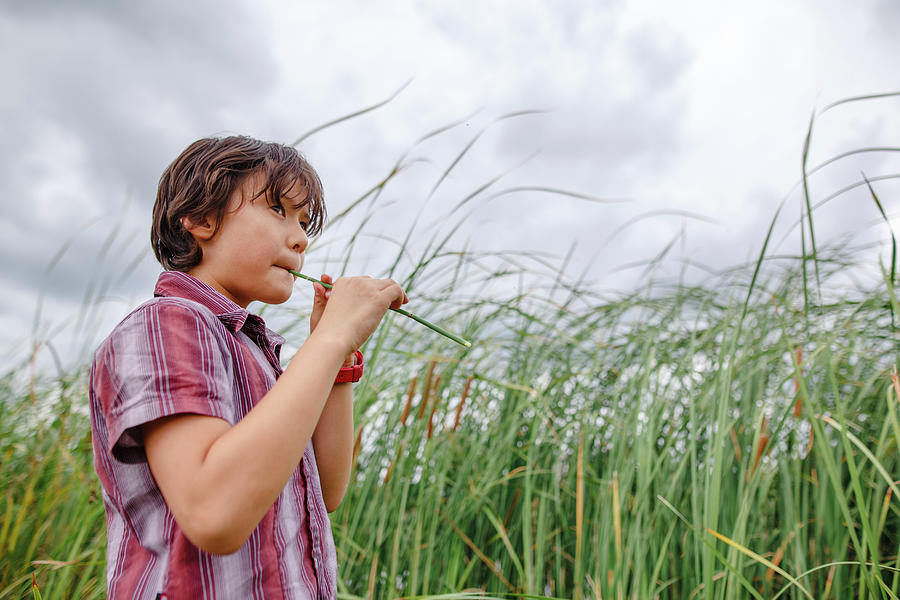 Nature Photograph - A Boy Stands By Tall Grass On A Cloudy Day Blowing Into A Hollow Reed by Cavan Images