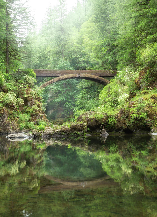 A Bridge in the Forest Photograph by Angie Vogel