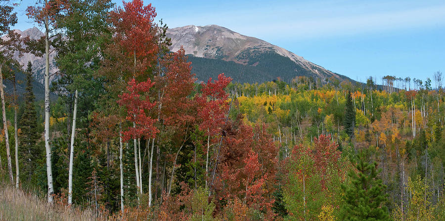 A Brilliant Colorado Autumn Photograph by Cascade Colors