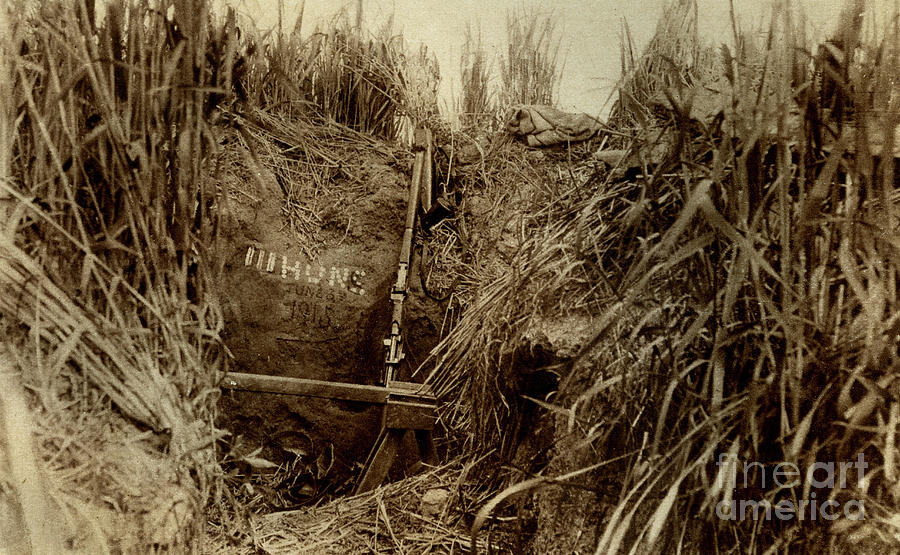 A British Snipers Lair In A Corn Field Showing Their Tally Of Enemy Kills, 1915 Photo Photograph by English Photographer