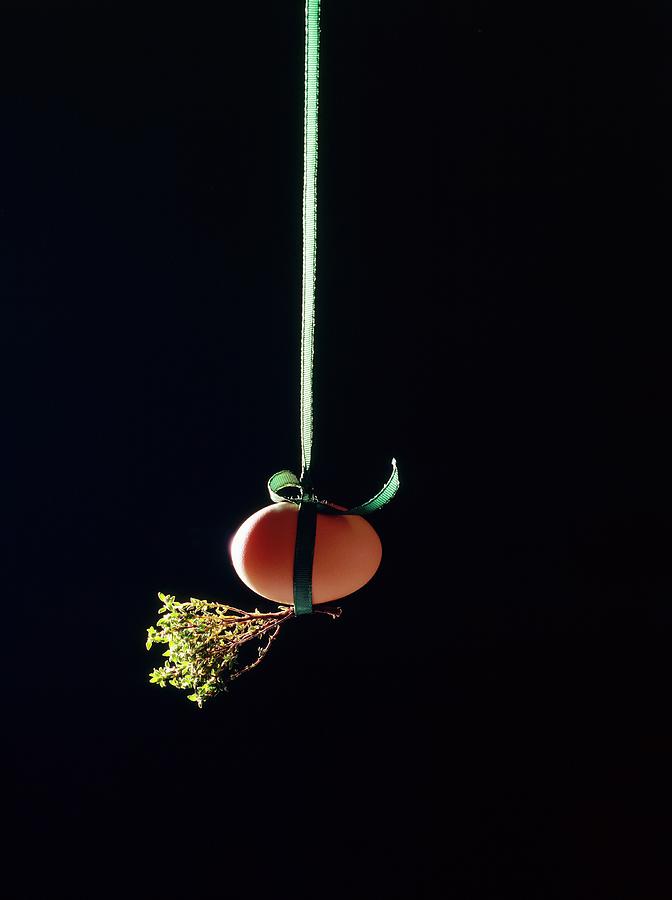 A Brown Hens Egg And Sprigs Of Thyme Hanging By A Ribbon Photograph by Michael Wissing