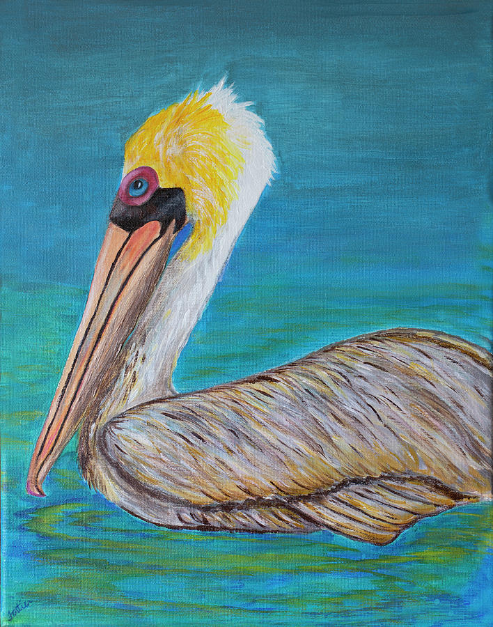 A Brown Pelican Painting By Linda Fortier - Fine Art America