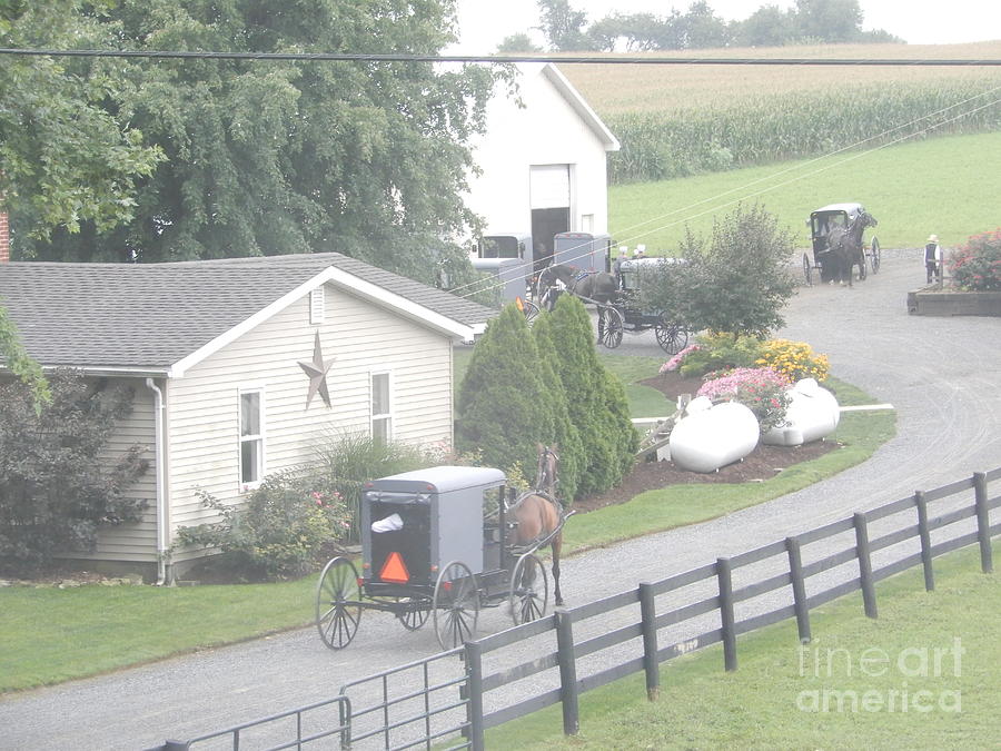 A Bunch of Amish Buggies Photograph by Christine Clark