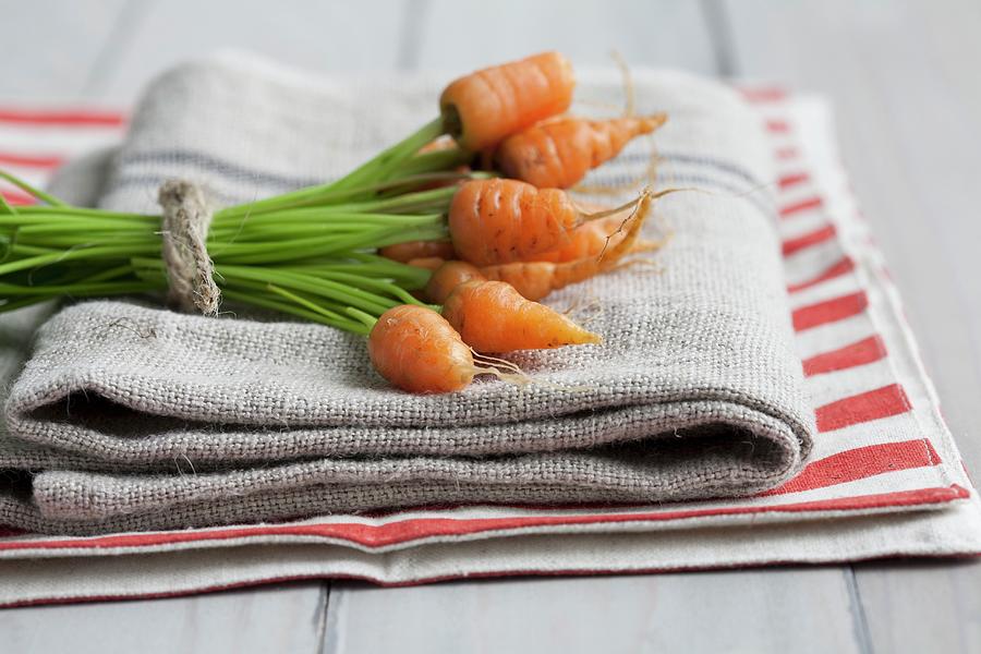A Bunch Of Baby Carrots On A Tea Towel Photograph by Schindler, Martina
