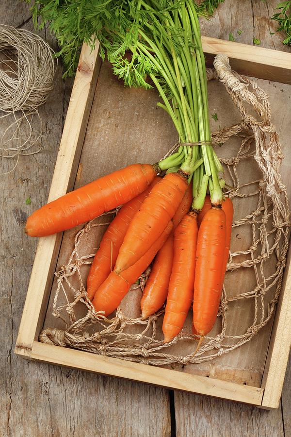 A Bunch Of Carrots Lying On A Net In A Shallow Wooden Crate Photograph by Zita Csig