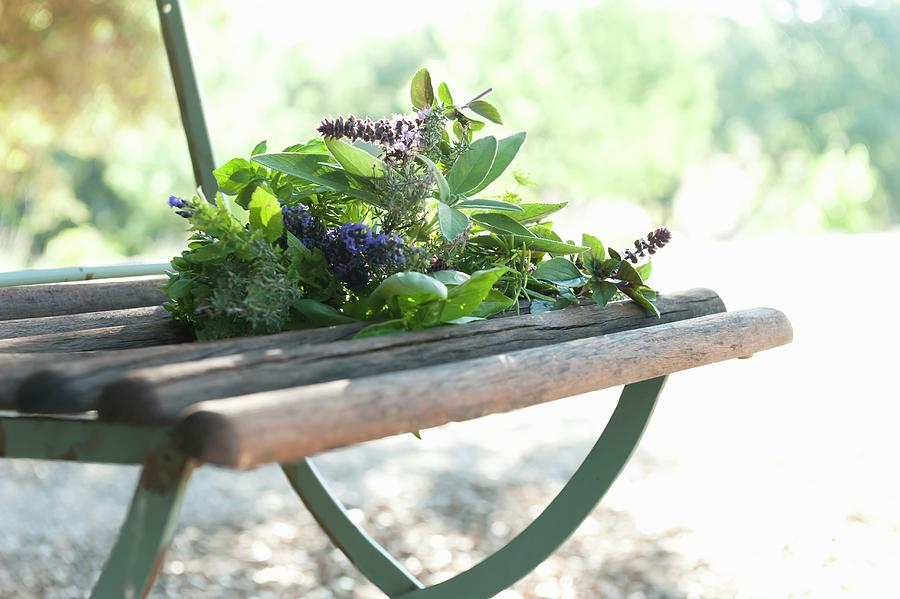A Bunch Of Fresh Herbs With Lavender Flowers On A Garden Chair Photograph by Manuela Rther