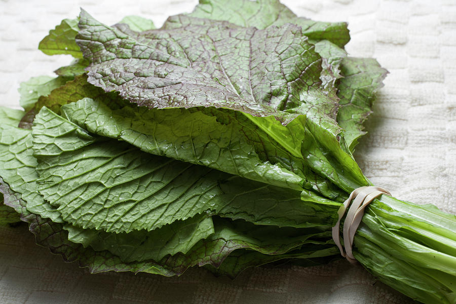 A Bunch Of Fresh Mustard Greens Photograph by Brian Yarvin