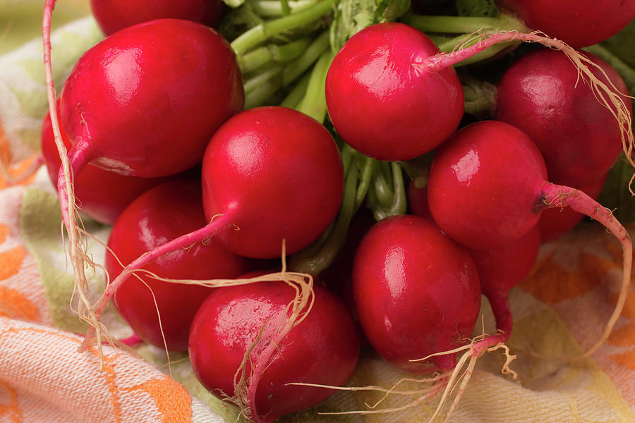 A Bunch Of Fresh Radishes Photograph by Brian Yarvin