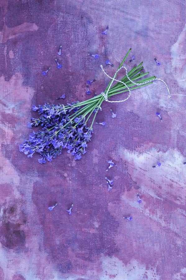 A Bunch Of Lavender On A Purple Surface Photograph by Achim Sass