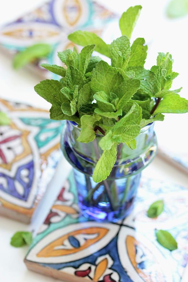 Flowers Still Life Photograph - A Bunch Of Peppermint In A Glass Vase On Moroccan Ceramic Tiles by Vivi Dangelo