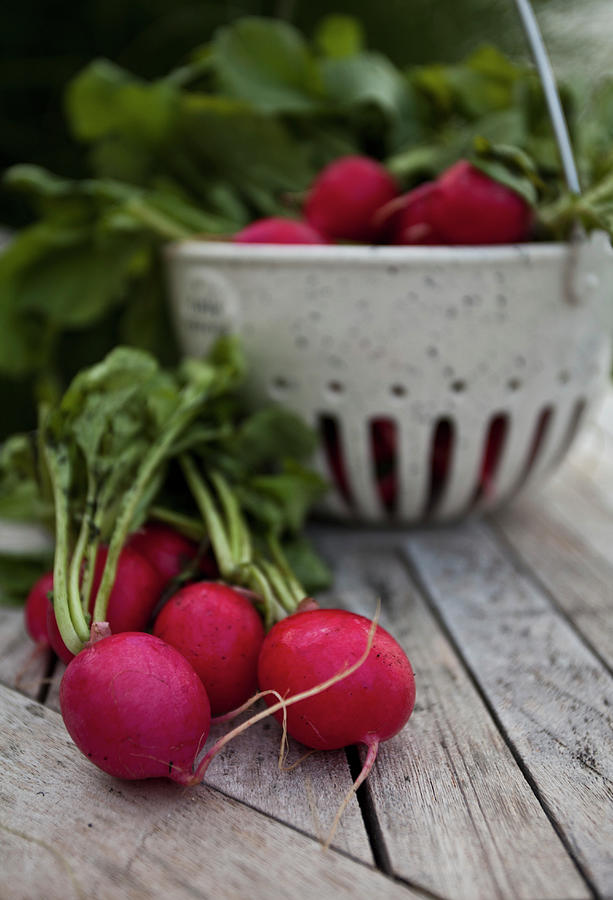 A Bunch Of Radishes In A White Speckled Basket On An Outdoor Table With Tall Grasses Behind Photograph by Ryla Campbell