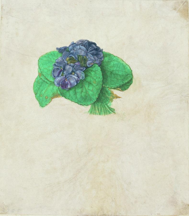 A bunch of violets. Watercolour and tempera on paper mounted on cardboard -2nd half 16th-. Drawing by School German School German