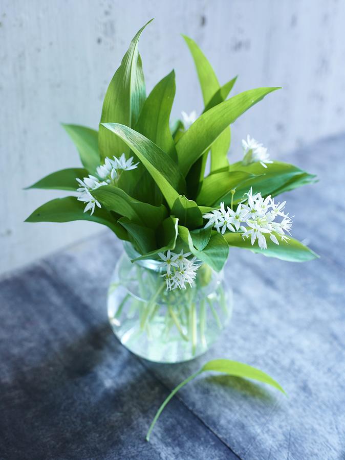 A Bunch Of Wild Garlic In A Glass Vase Photograph by Oliver Brachat