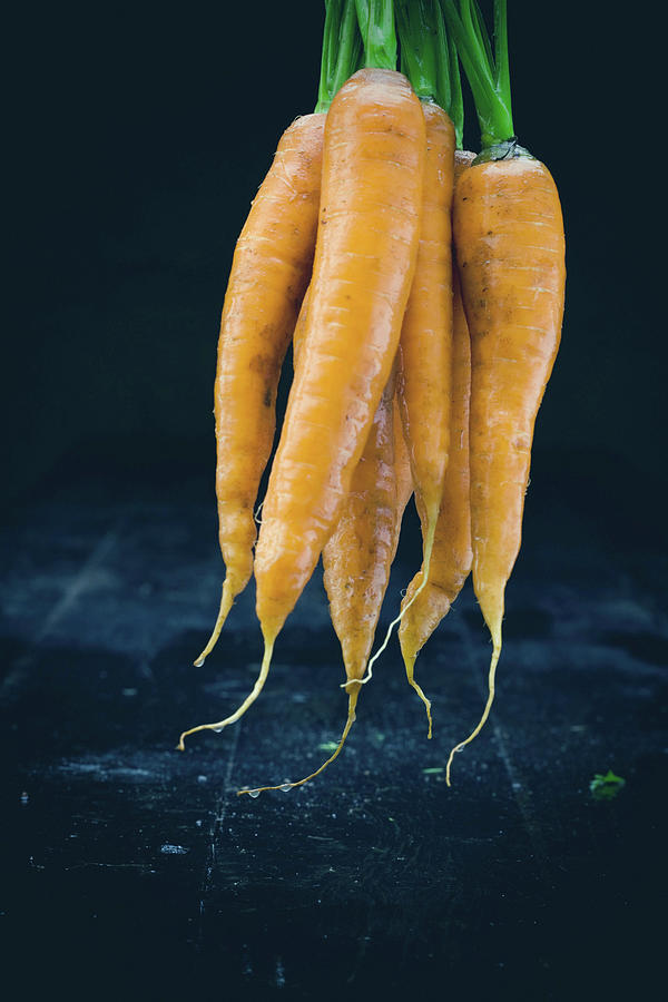 A Bundle Of Freshly Washed Carrots Photograph by Kfir Harbi