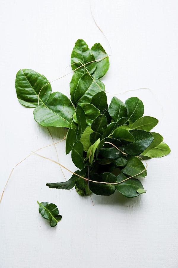 A Bundle Of Kaffir Lime Leaves Photograph by Michael Wissing