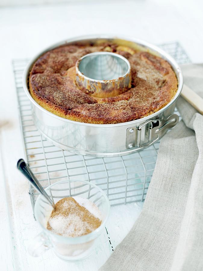 A Bundt Cake With Cinnamon Sugar In A Baking Tin Photograph by Lina Eriksson