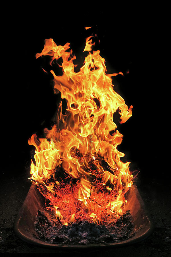 A Burning Fire Photograph by Petr Gross