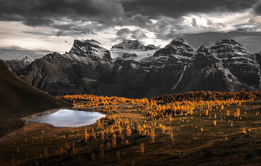 Banff National Park Photograph - A Burst Of Gold In Larch Valley by May G