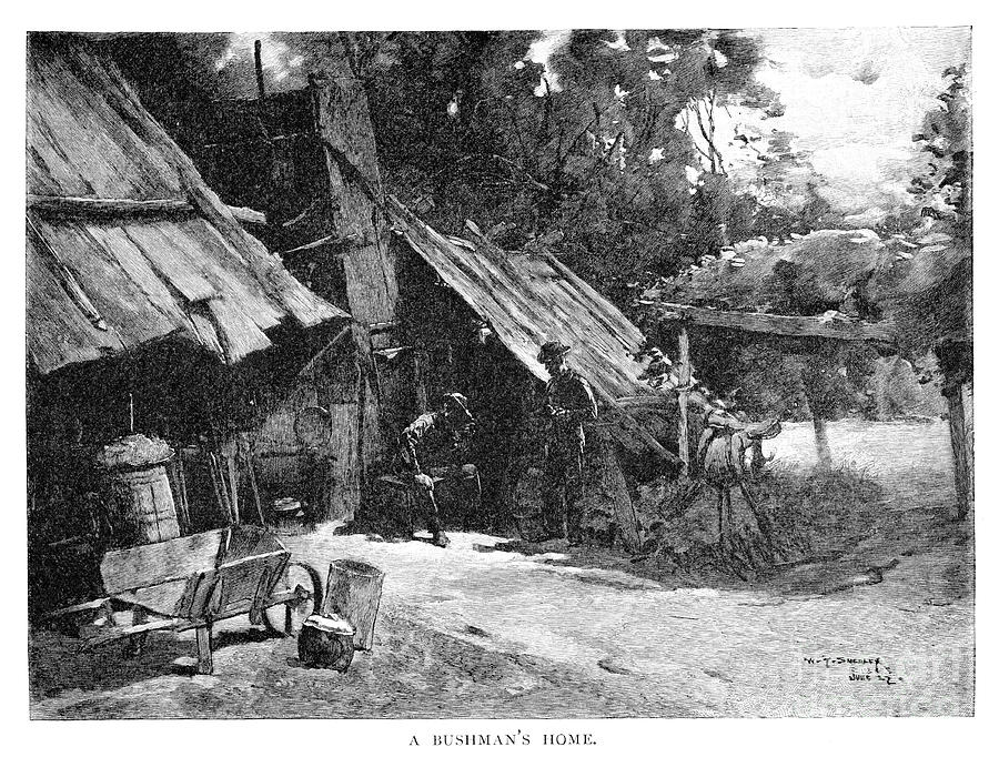 Black And White Drawing - A Bushmans Home, Australia, 1886.artist by Print Collector