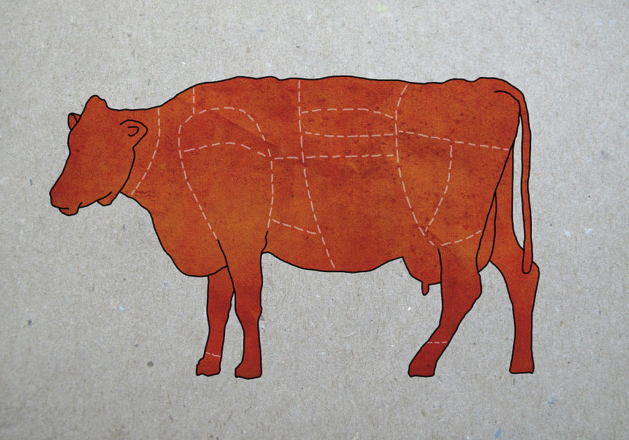 A Butchers Diagram Of A Cow Digital Art by Malte Mueller