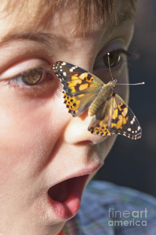 A Butterfly Landed On A Childs Nose Photograph by Gustoimages/science ...