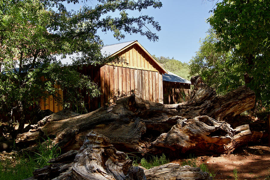 A Log Cabin in the Woods Outside Sedona, Arizona Photograph by L Bosco