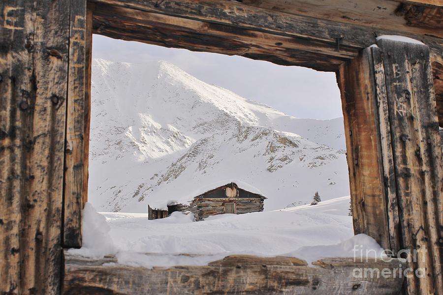 A Cabin View Photograph by Tonya Hance - Fine Art America