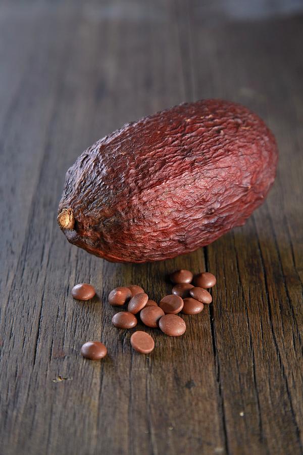 A Cacao Pod And Chocolate Drops Photograph by Rafael Pranschke