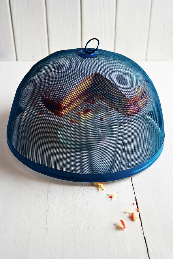 A Cake Under A Fly Dome On A Cake Stand Photograph by Stowell, Roger