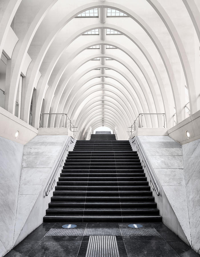 A Calatrava Staircase Photograph by Antoni Figueras - Fine Art America