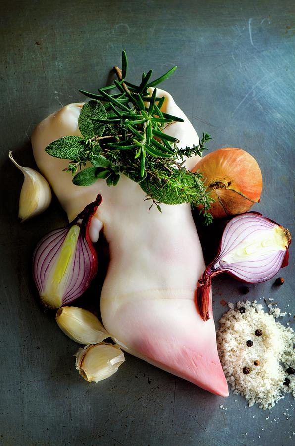A Calfs Foot With Soup Ingredients onions, Herbs, Salt, Pepper, Garlic Photograph by Jamie Watson