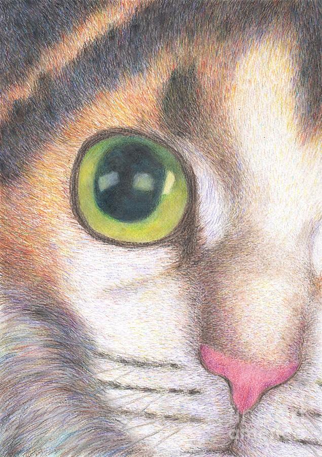 A Calico Cat Face Drawing Drawing by Jingfen Hwu