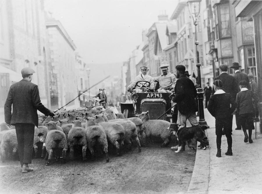 A Car Surrounded By Sheep, Lewes High Photograph by Heritage Images