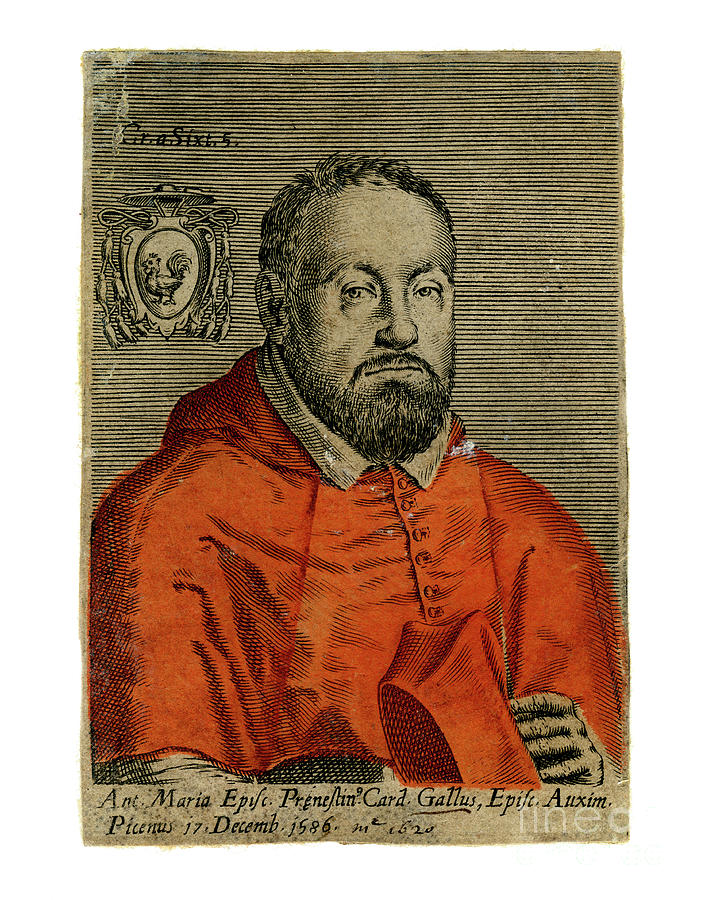 A Cardinal, 16th Century Drawing by Print Collector