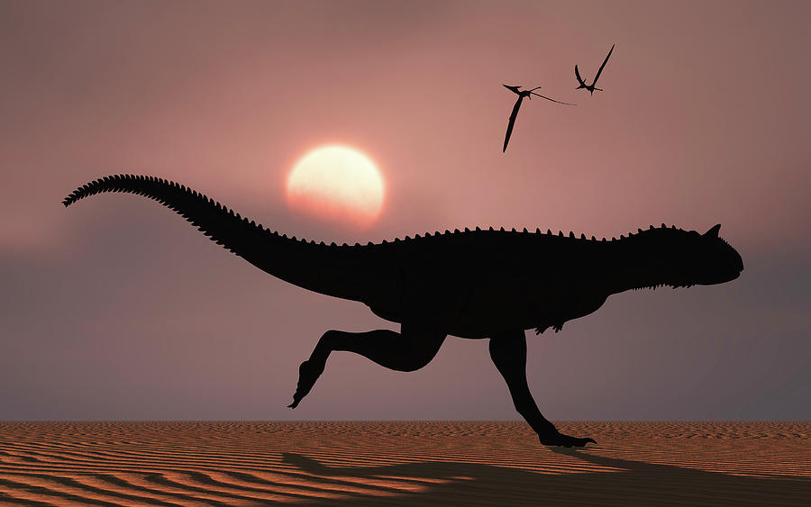 A Carnotaurus Dinosaur Silhouetted Photograph by Mark Stevenson