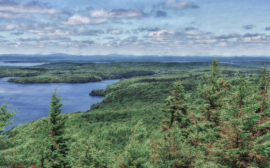 Acadia National Park Photograph - A Carpet of Trees by John M Bailey