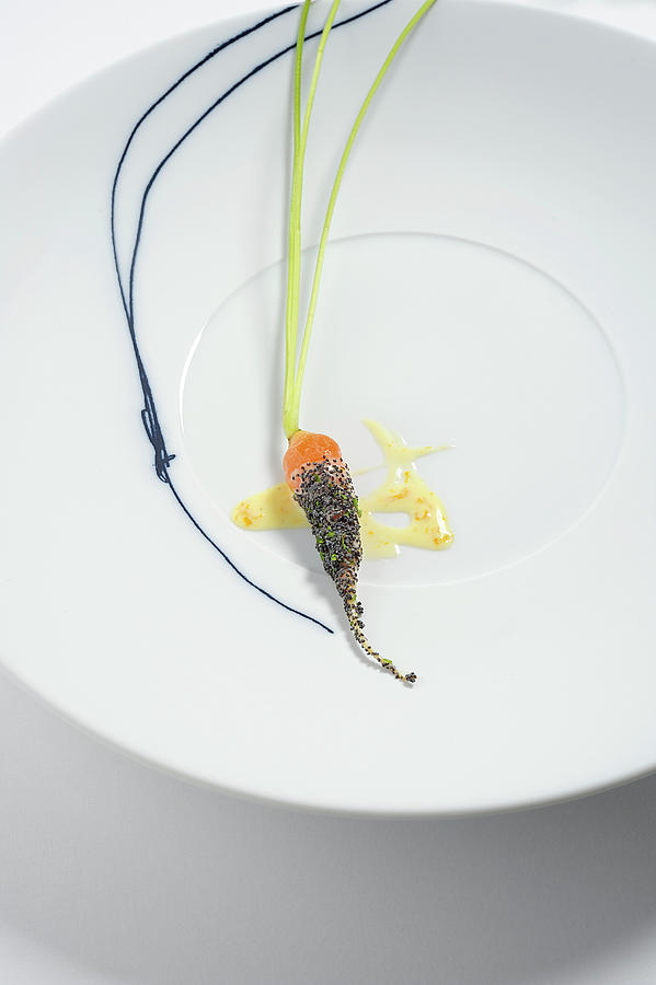 A Carrot With Poppyseed And Orange Cream Photograph by Torri Tre