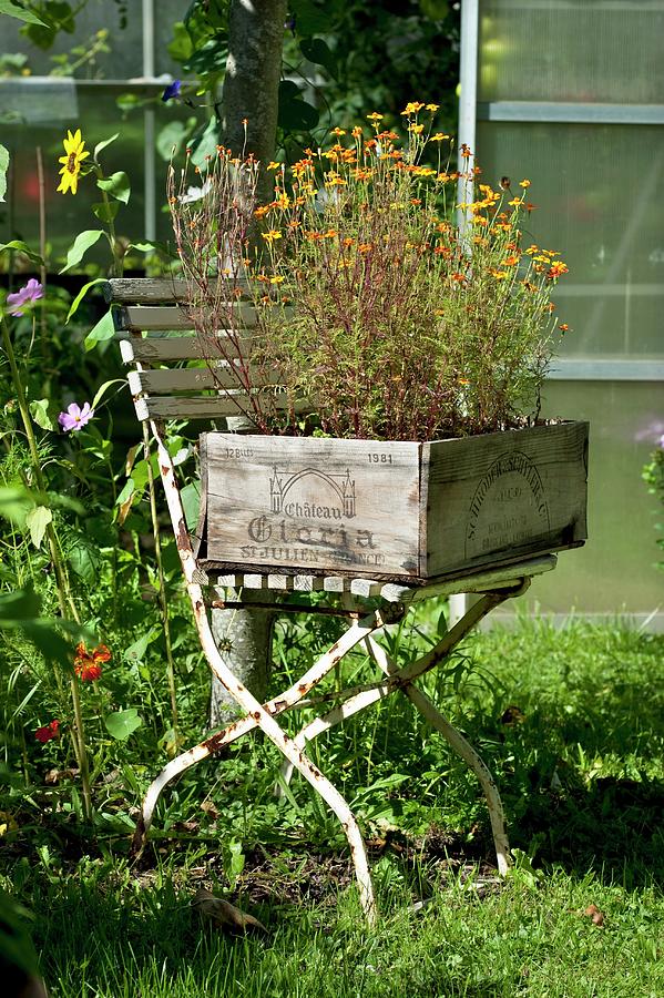 A Chair With An Old Wine Crate As A Flower Box Photograph by Hans Gerlach