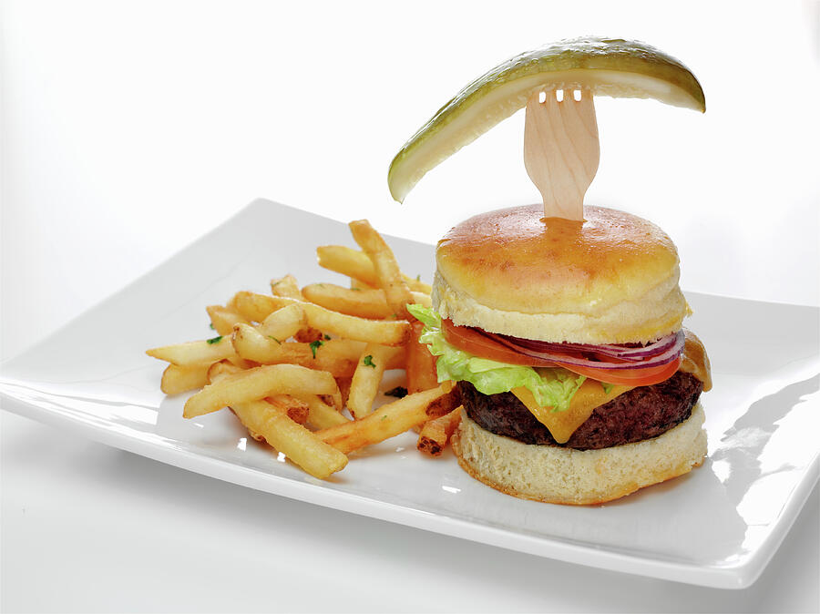 Cheese Photograph - A Cheeseburger On A Brioche Bun With Lettuce, Tomato And Onions Served With French Fries And A Dill Pickle Slice by Albert P Macdonald