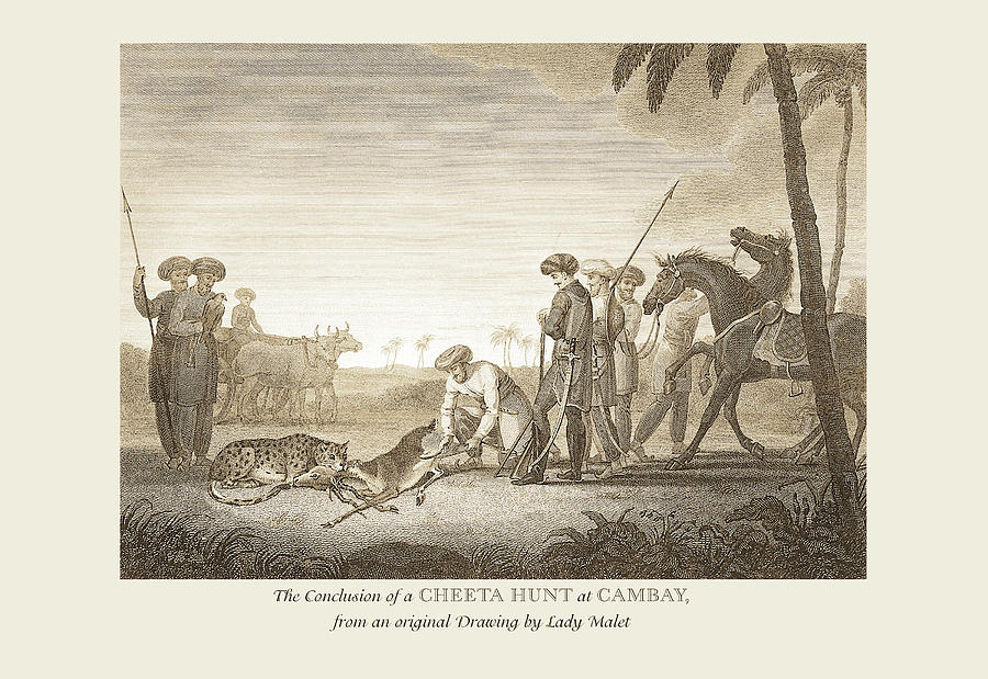 A Cheeta Hunt at Cambay Painting by Lady Malet