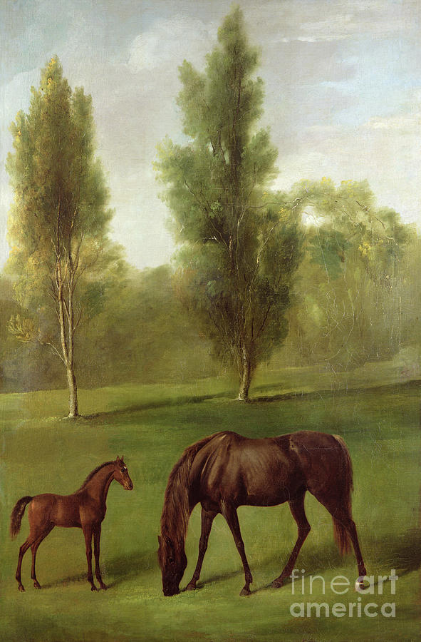 George Stubbs Painting - A Chestnut Mare And Foal In A Wooded Landscape, C.1761-63 by George Stubbs