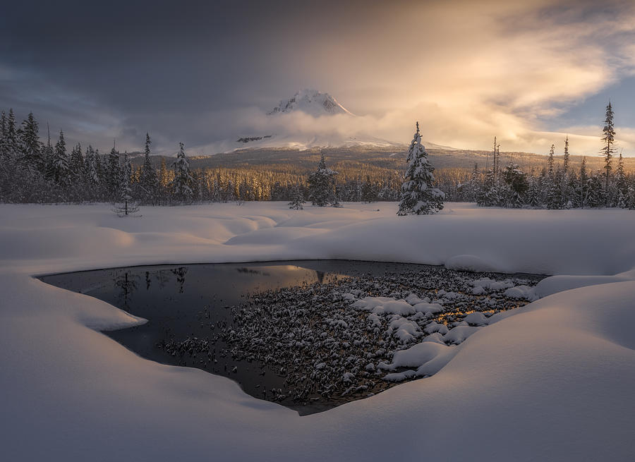 Winter Photograph - A Chill In The Air by Ryan Dyar