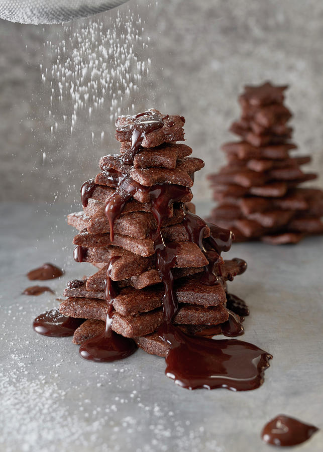 A Chocolate Biscuit Tree Sprinkled With Powdered Sugar Photograph by Stefan Schulte-ladbeck