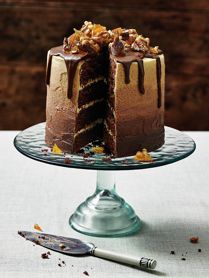 A Chocolate Layer Cake, Sliced Photograph by Ali Sid